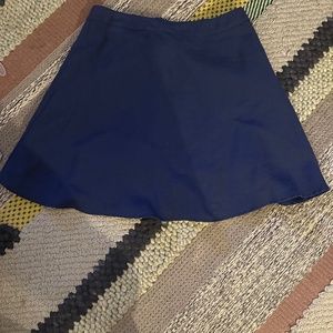 Blue High Waisted Skirt